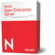 Novell Open Enterprise Server 2